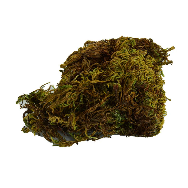 Yosun Su Yosunu Doğal 100 Gr Paket - Saf Doğal Beslenme