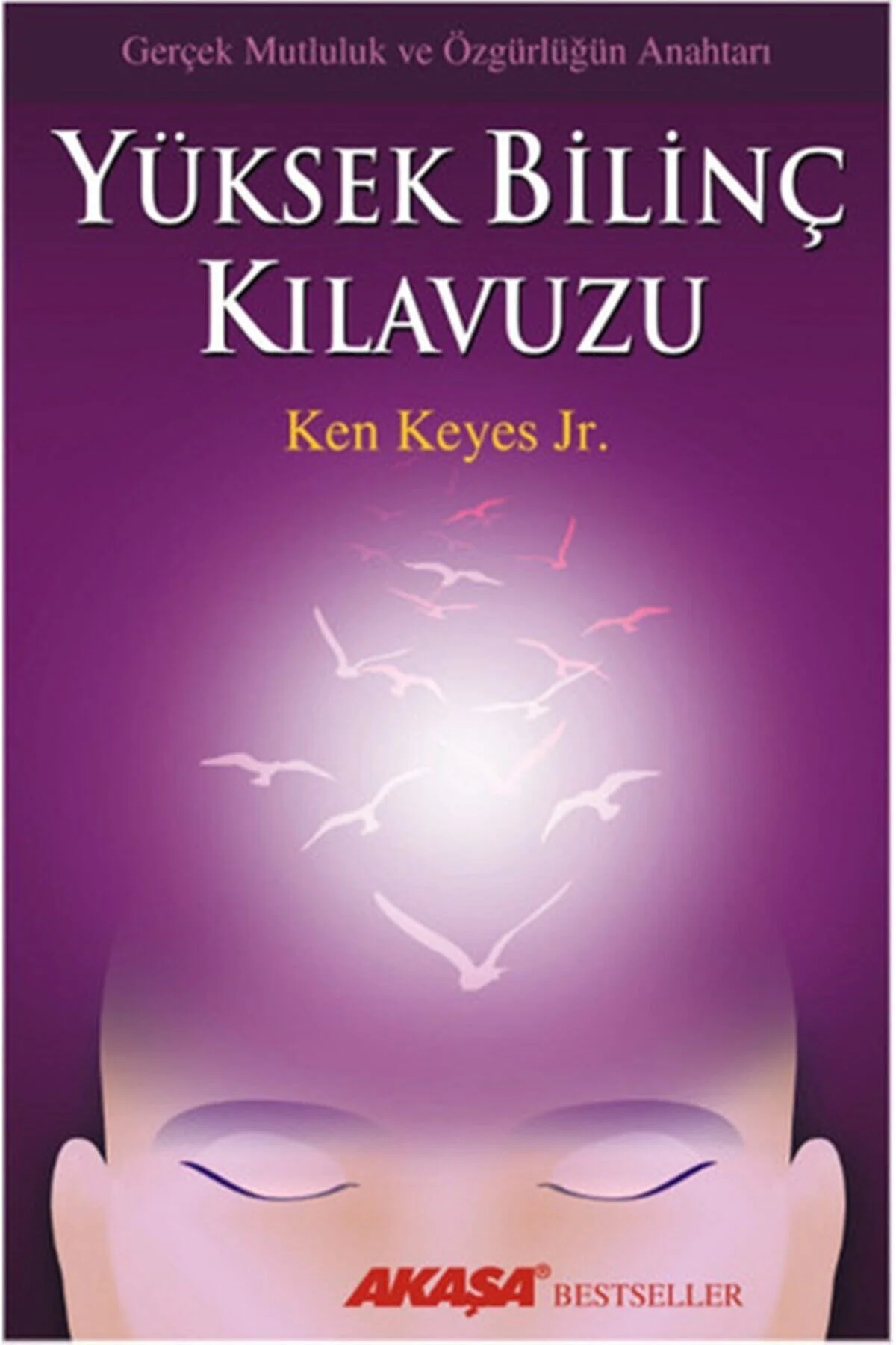 Yüksek Bilinç Kılavuzu Ken Keyes Jr. Kitabı 256 Sayfa Akaşa Yayınları