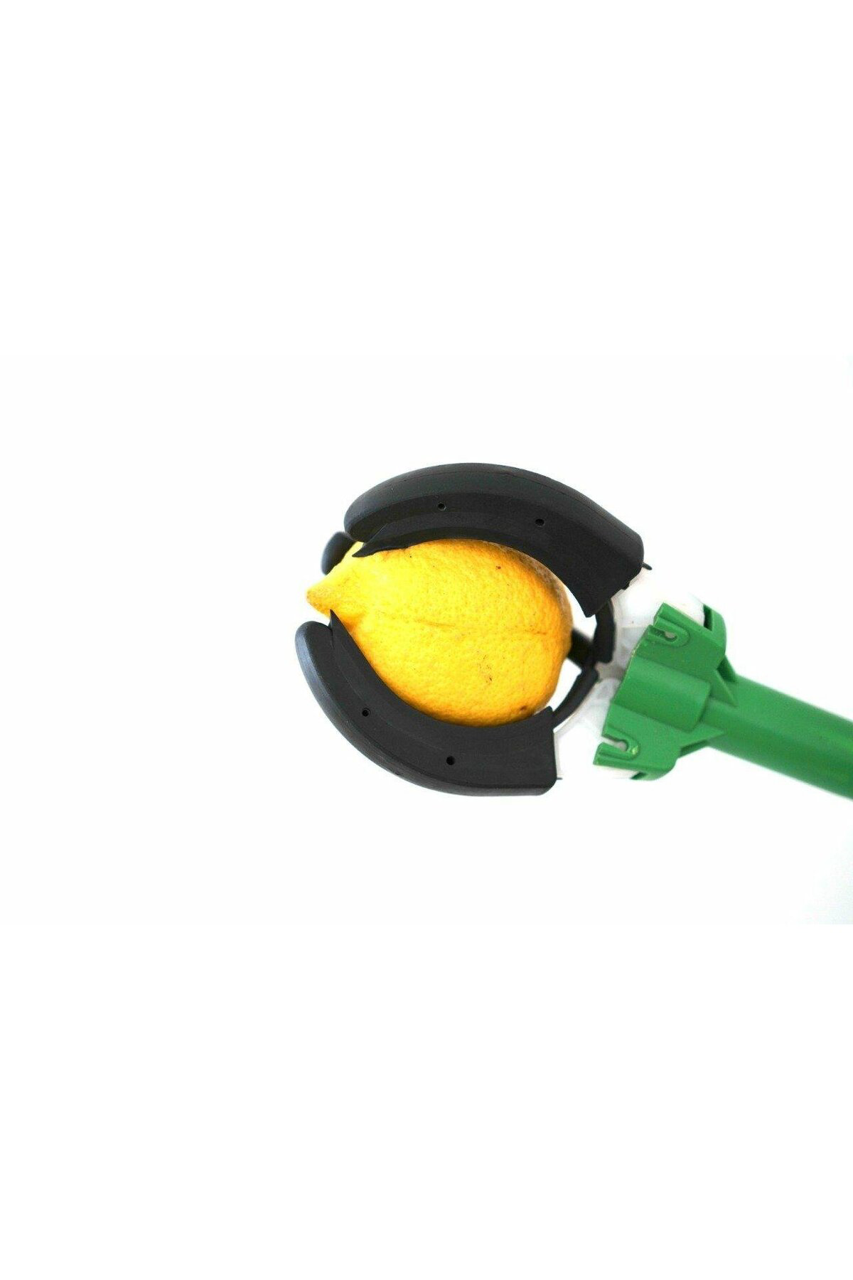 Yüksek Dal Meyve Toplama Aleti Yerli Üretim 1.85 Cm