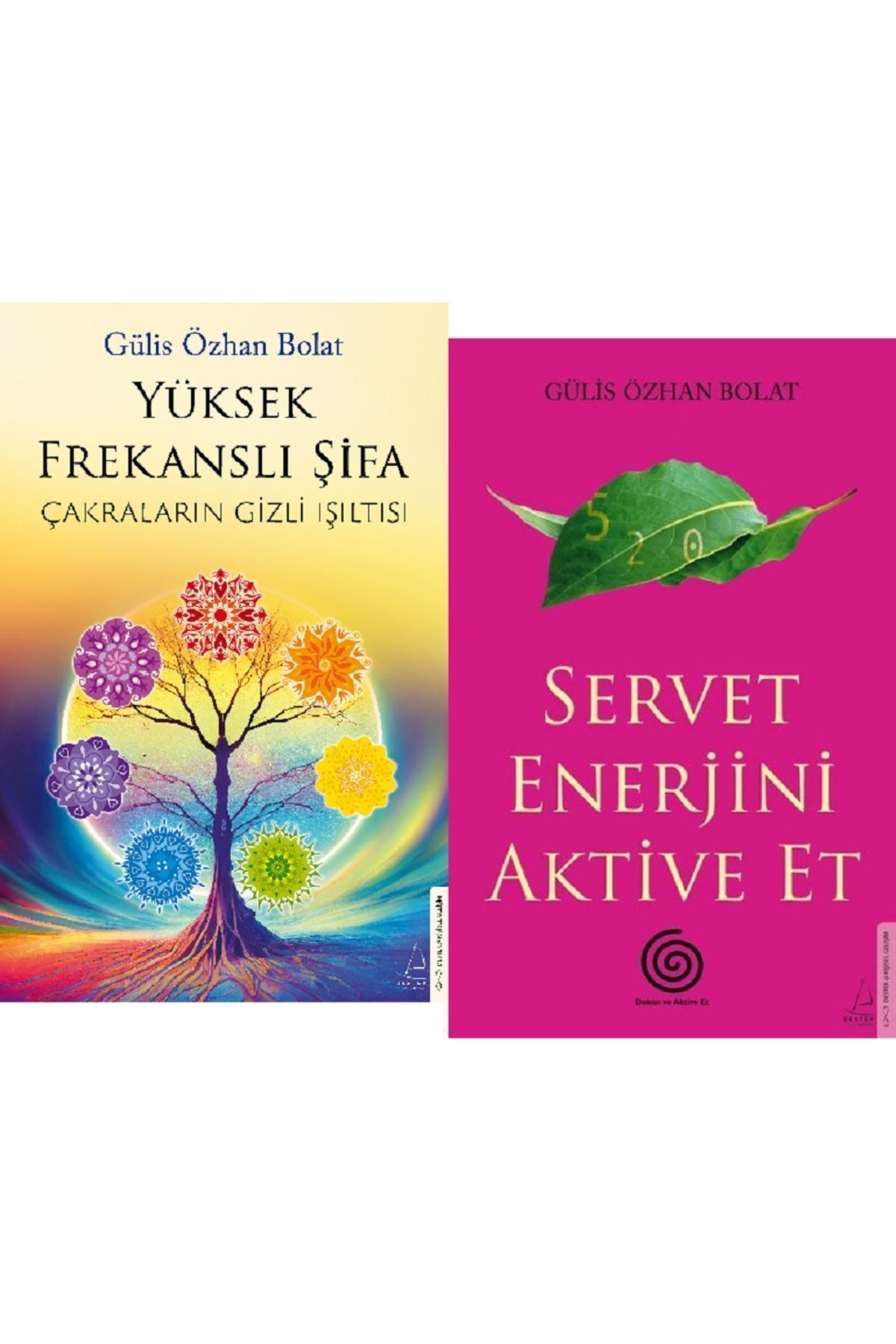 Yüksek Frekanslı Şifa + Servet Enerjini Aktive Et / Gülis Özhan Bolat 2 Kitap Set