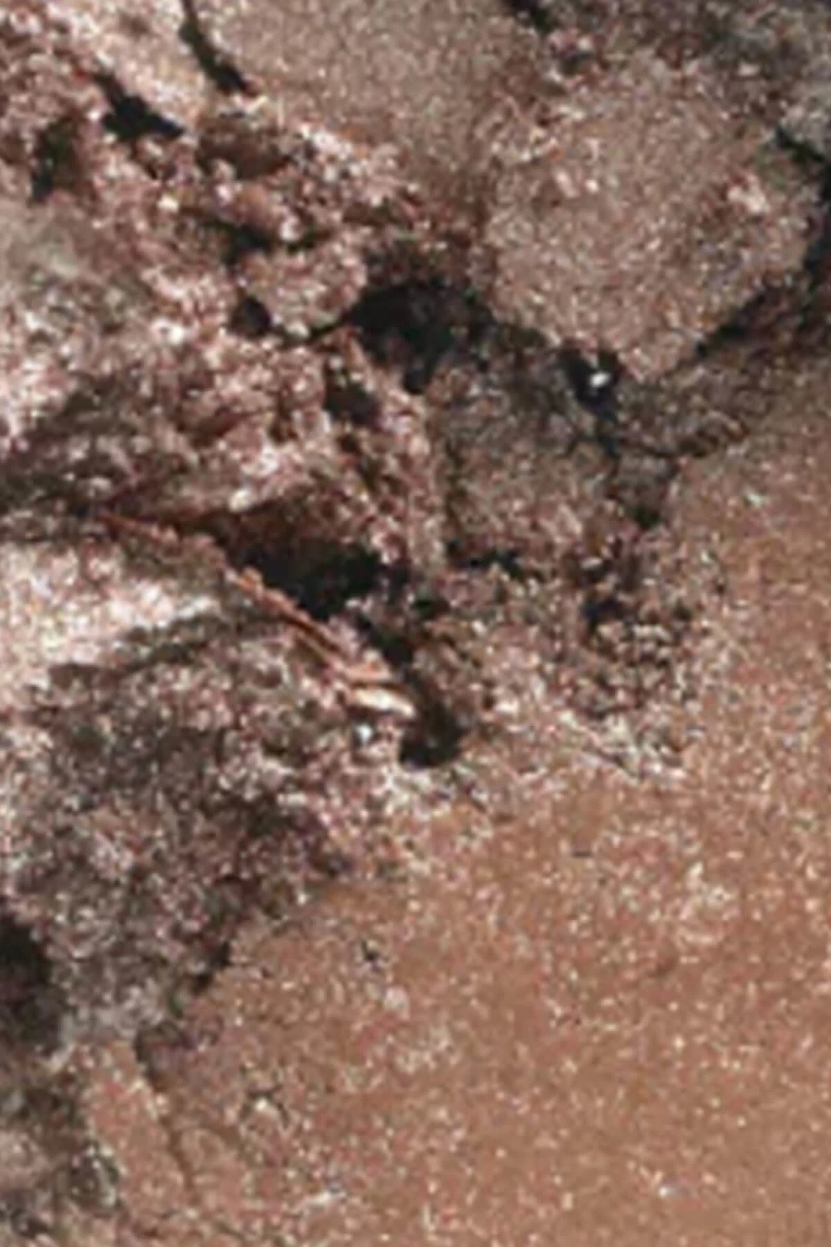 Yüksek Pigmentli Göz Farı - Eye Shadow Woodwinked 1.5 G