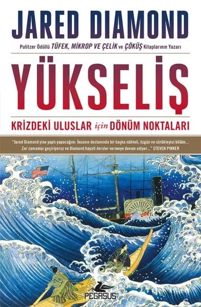 Yükseliş: Krizdeki Uluslar İçin Dönüm Noktaları - Ciltsiz Fiyatı, Yorumları ve Özellikleri