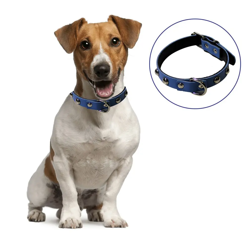 Yumuşak Dokulu Deri Köpek Gezdirme Boyun Tasması (Large) (4741)