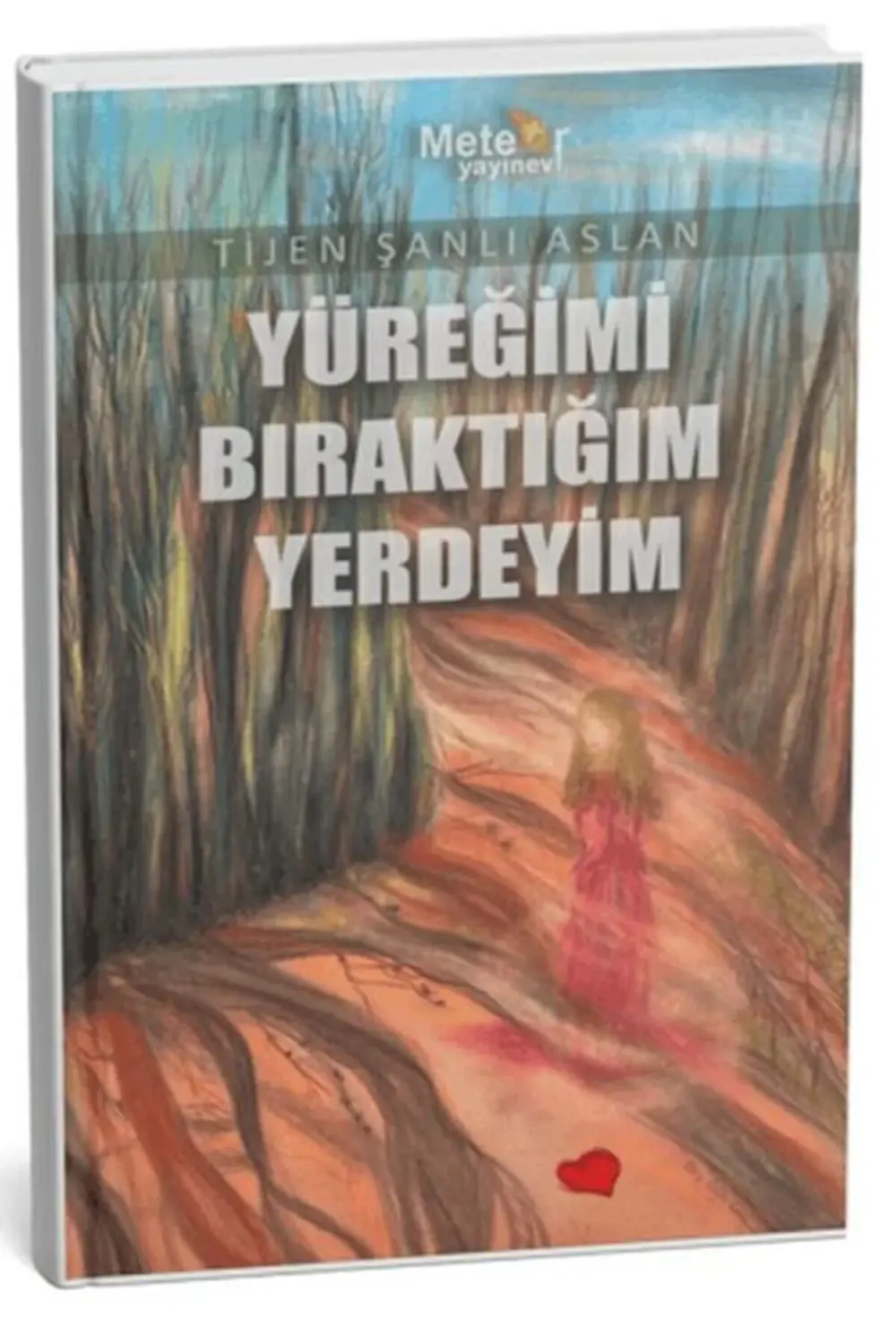 Yüreğimi Bıraktığım Yerdeyim