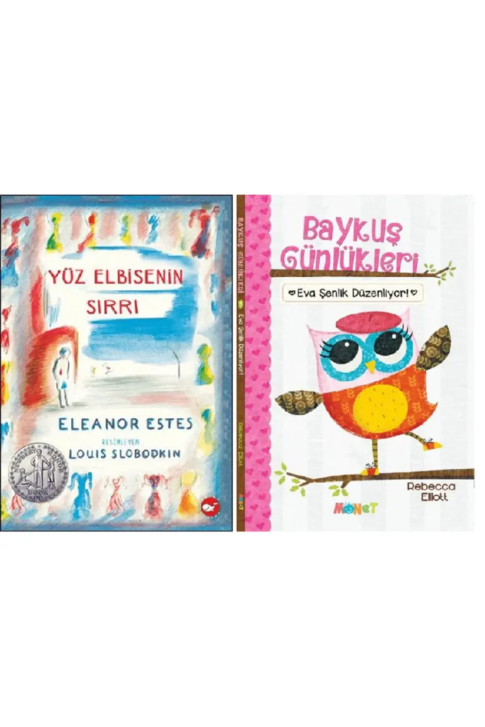 Yüz Elbisenin Sırrı + Eva Şenlik Düzenliyor - Baykuş Günlükleri 1