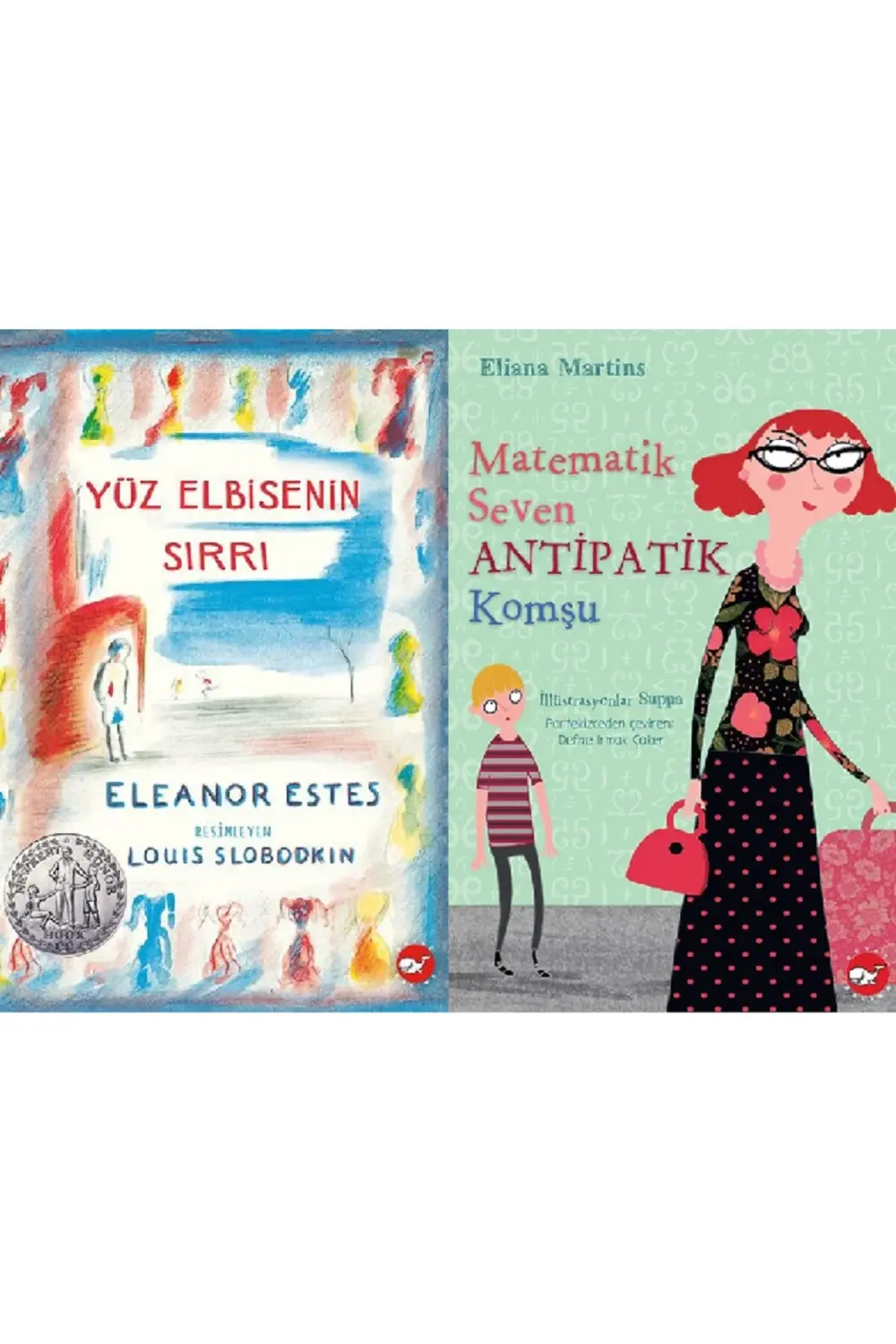 Yüz Elbisenin Sırrı + Matematik Seven Antipatik Komşu 2 Kitap Set