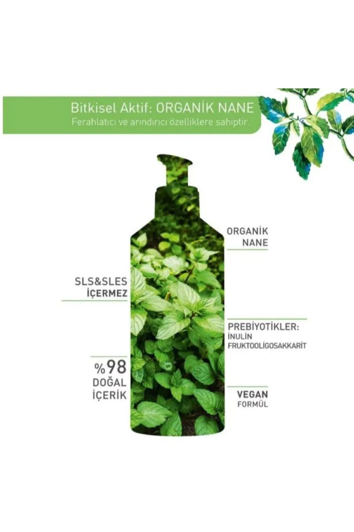 Yüz Yıkama Jeli - Karma ve Yağlı Cilt / Pure Menthe Gözenek Sıkıl