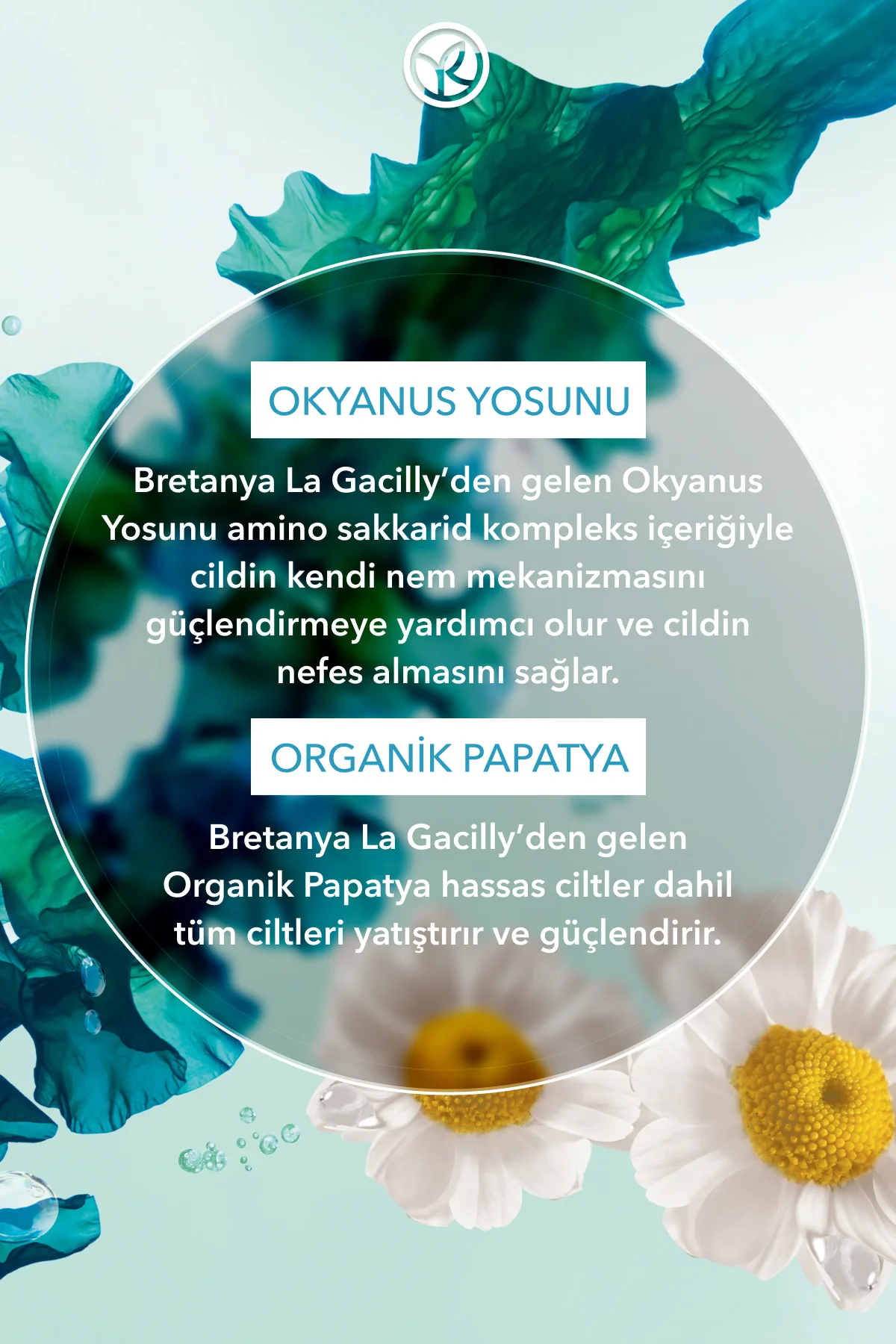 Yüz Yıkama Köpüğü-Hassas Cilt-Pure Algue Sensitive Yatıştırıcı Bo