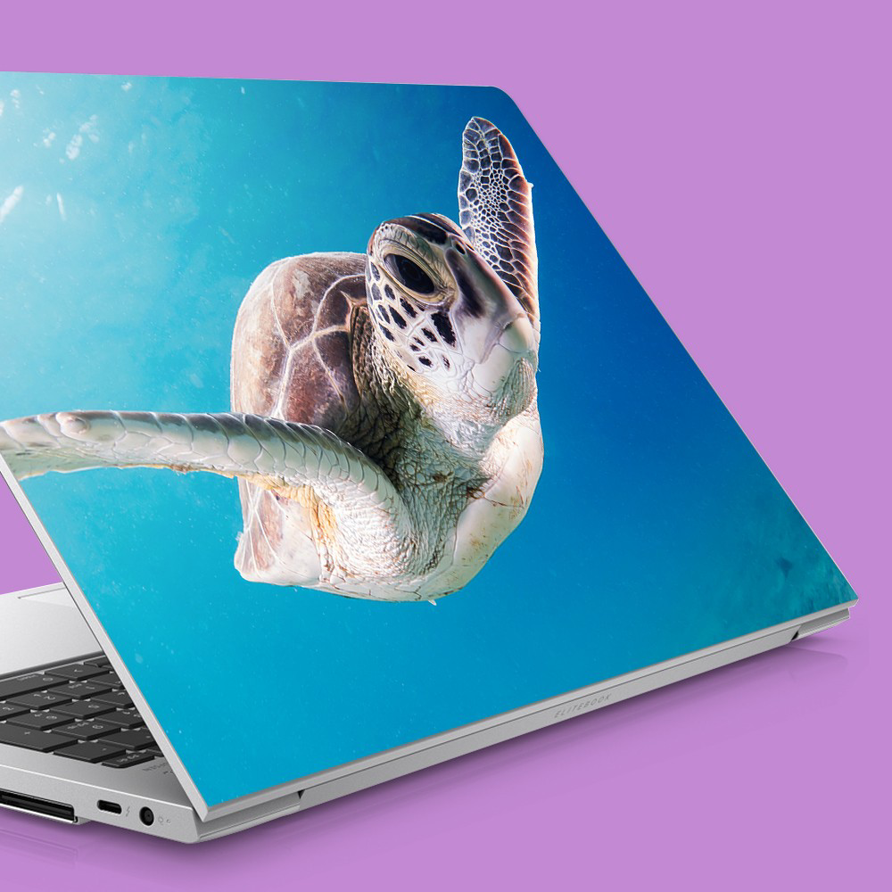 Artikel Yüzen Yavru Caretta Notebook Sticker, Laptop Sticker,, Hp Sticker Artikel Yüzen Yavru Caretta Notebook Sticker, Laptop Sticker,, Hp Sticker