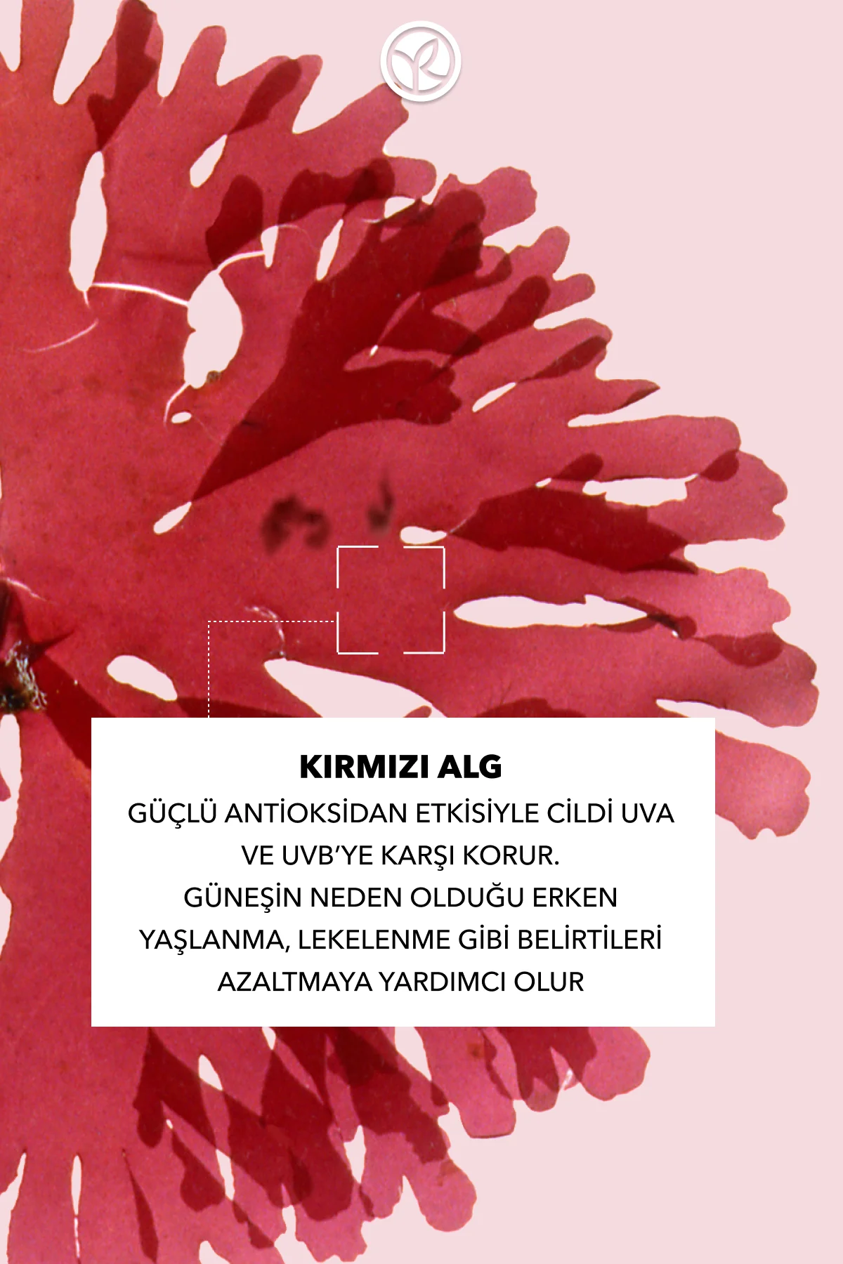 Yüz&Vücut Güneş Losyonu - SPF 30 / Solaire Peau Parfaite-150 ml-3