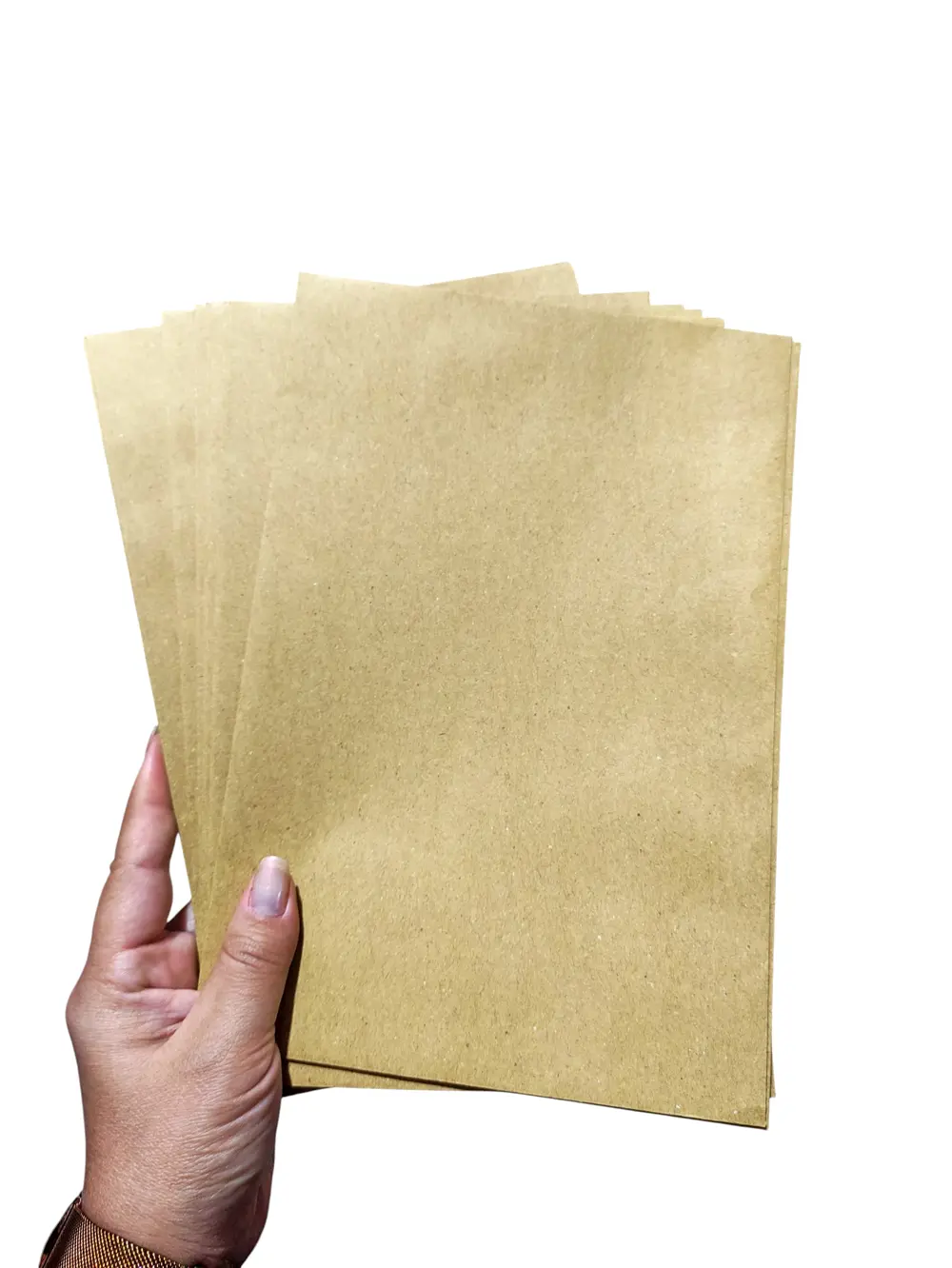 Zarf A5 boyutunda Formula Torba Zarf 17x25 cm - 10 Adet