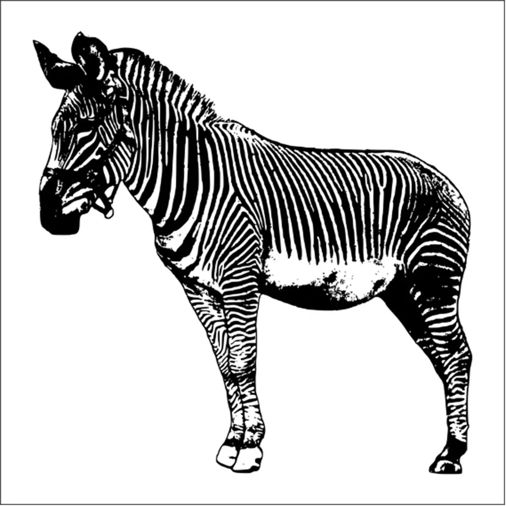 ZEBRA FOLYO STİCKER