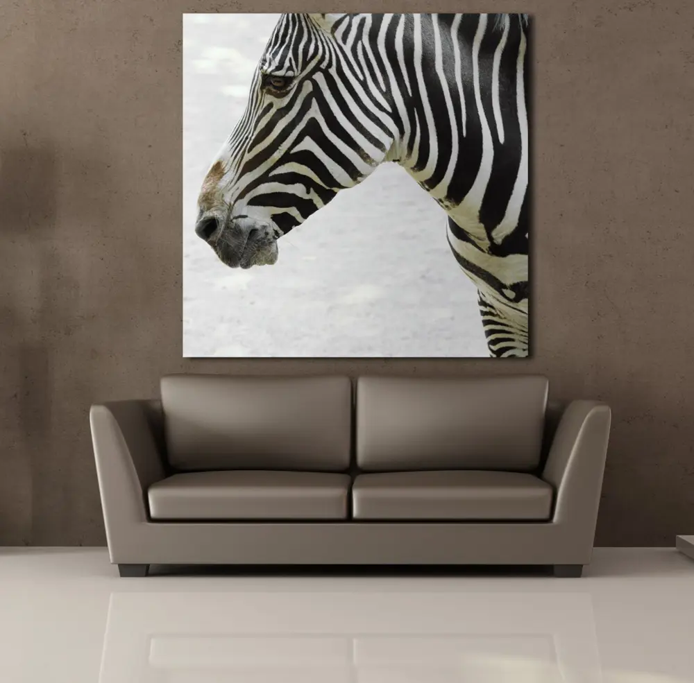 ZEBRA KAFASI KANVAS TABLO ZEBRA KAFASI KANVAS TABLO