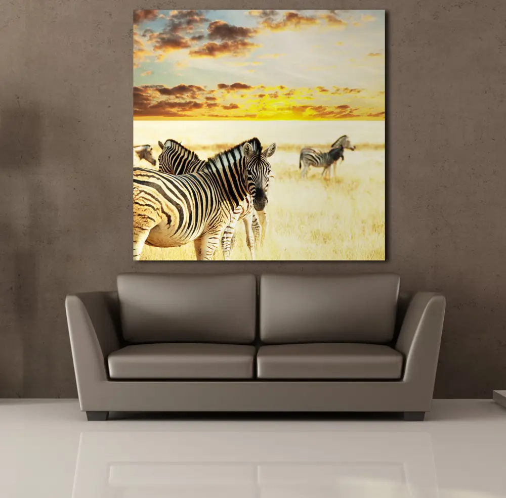 ZEBRA KANVAS TABLO ZEBRA KANVAS TABLO