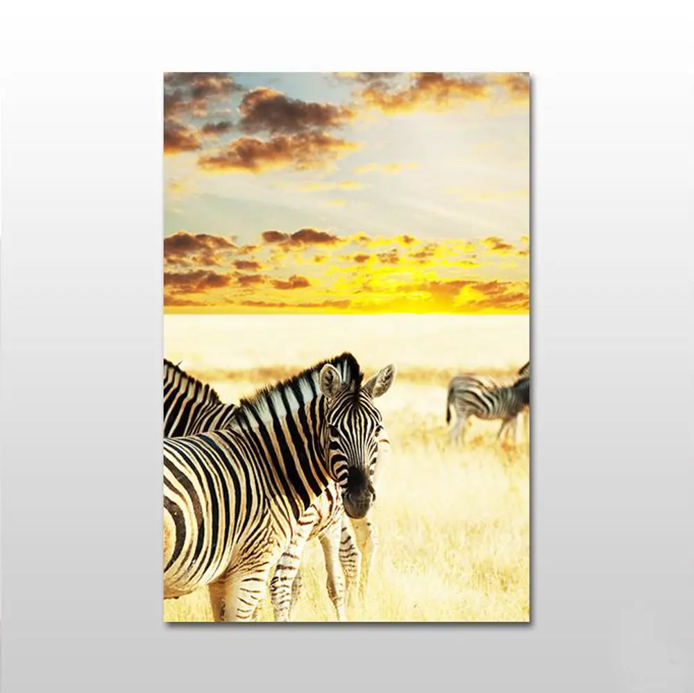 Zebra Kanvas Tablo Zebra Kanvas Tablo