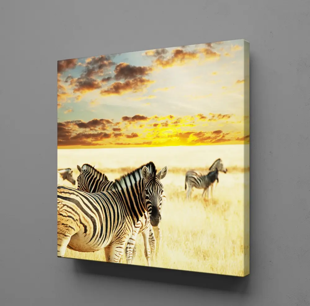 ZEBRA KANVAS TABLO ZEBRA KANVAS TABLO