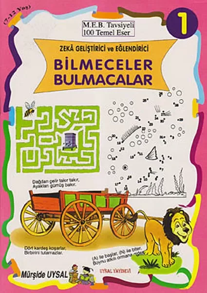 Zeka Geliştirici ve Eğlendirici Bilmeceler Bulmacalar (10 Kitap T