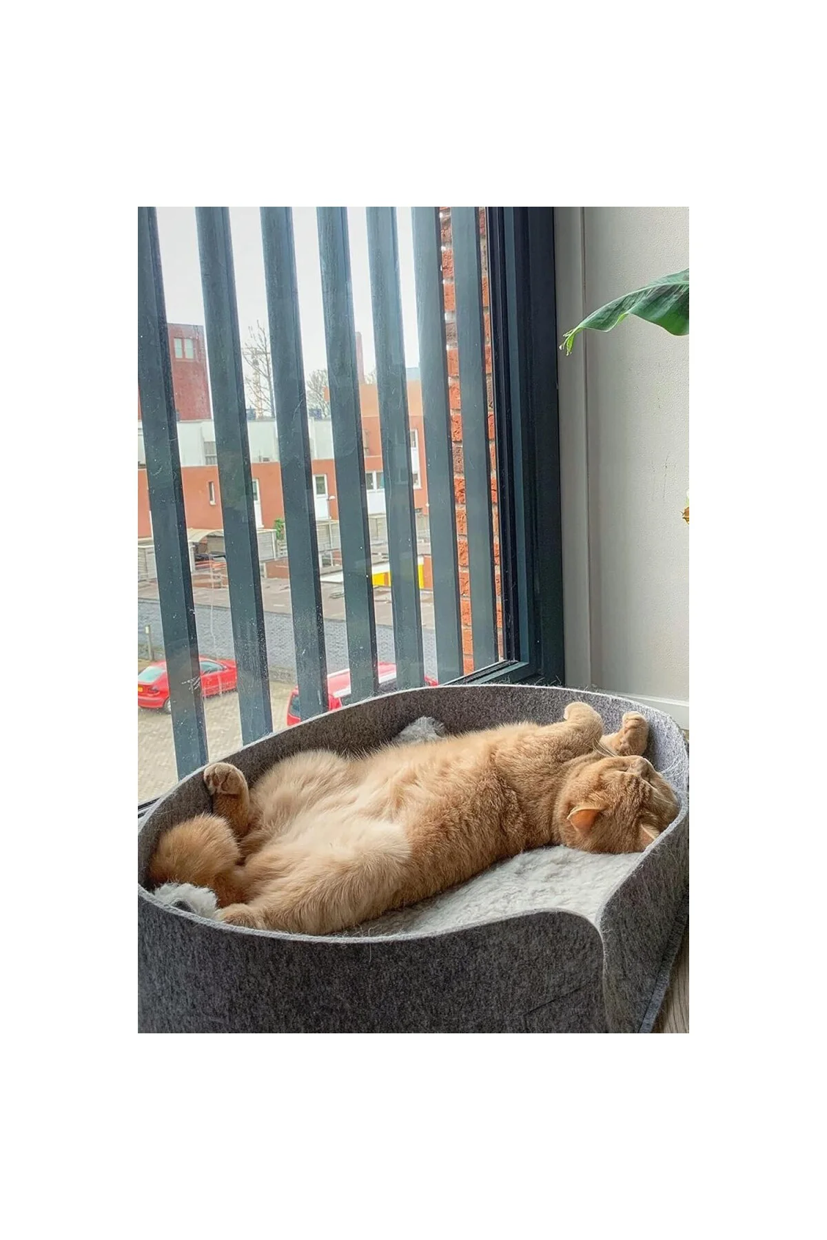 Zeus Gri Kedi Yatağı - Evcil Hayvan Peluş Minderi, Yuvası ve Kulü