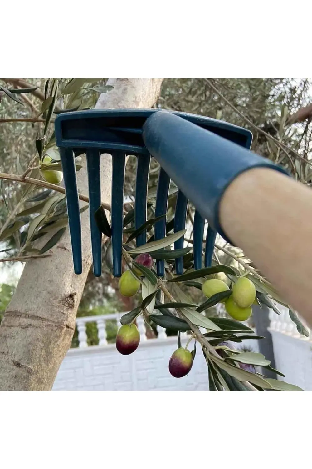 Zeytin Toplama Tırmığı 8 Taraklı Plastik Tırmık Bahçe Tırmığı (1
