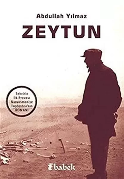Zeytun Fiyatı, Yorumları ve Özellikleri