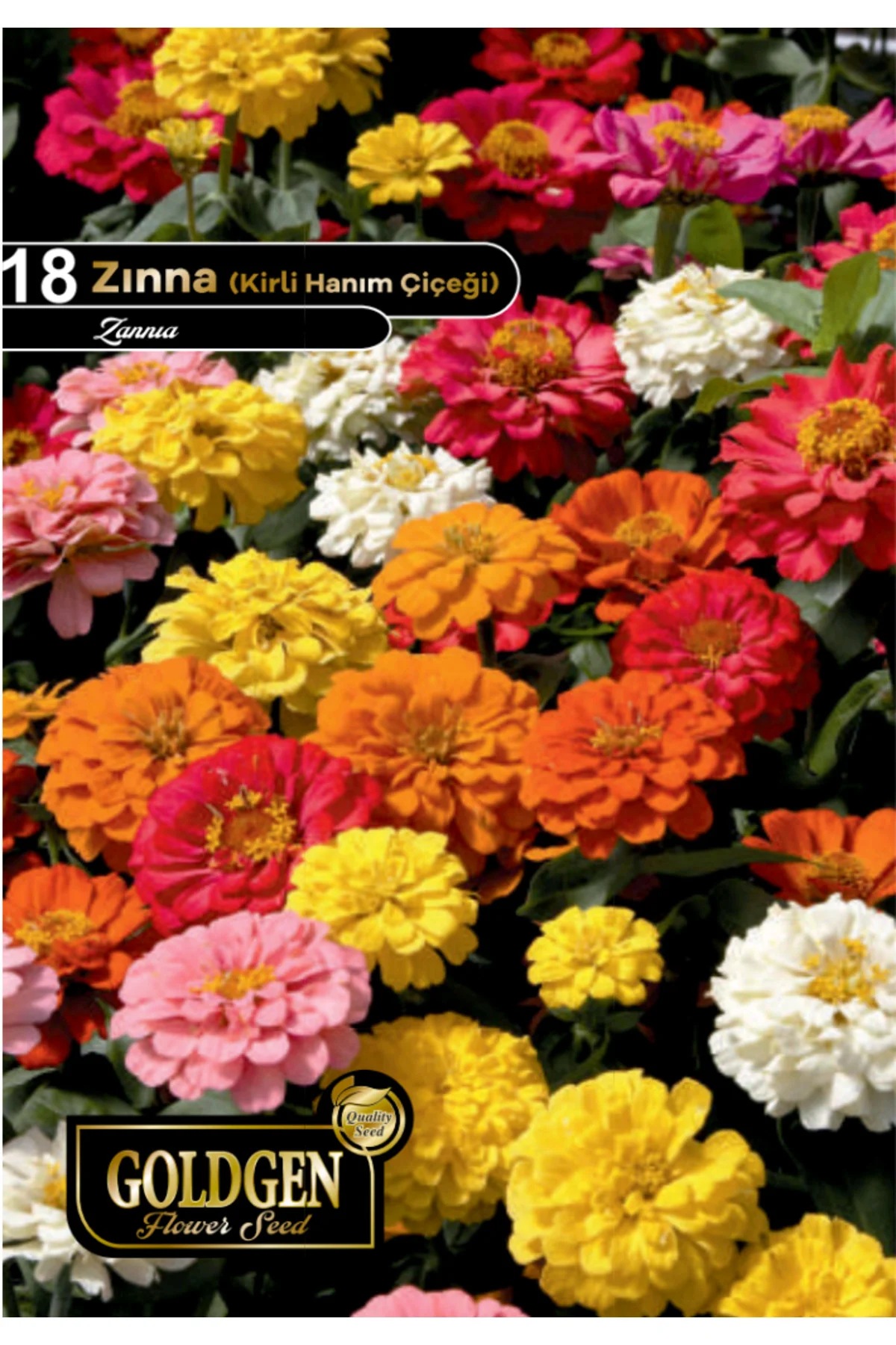 Zinna Çiçeği Tohumu