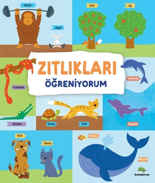 Zıtlıkları Öğreniyorum Fiyatı, Yorumları ve Özellikleri