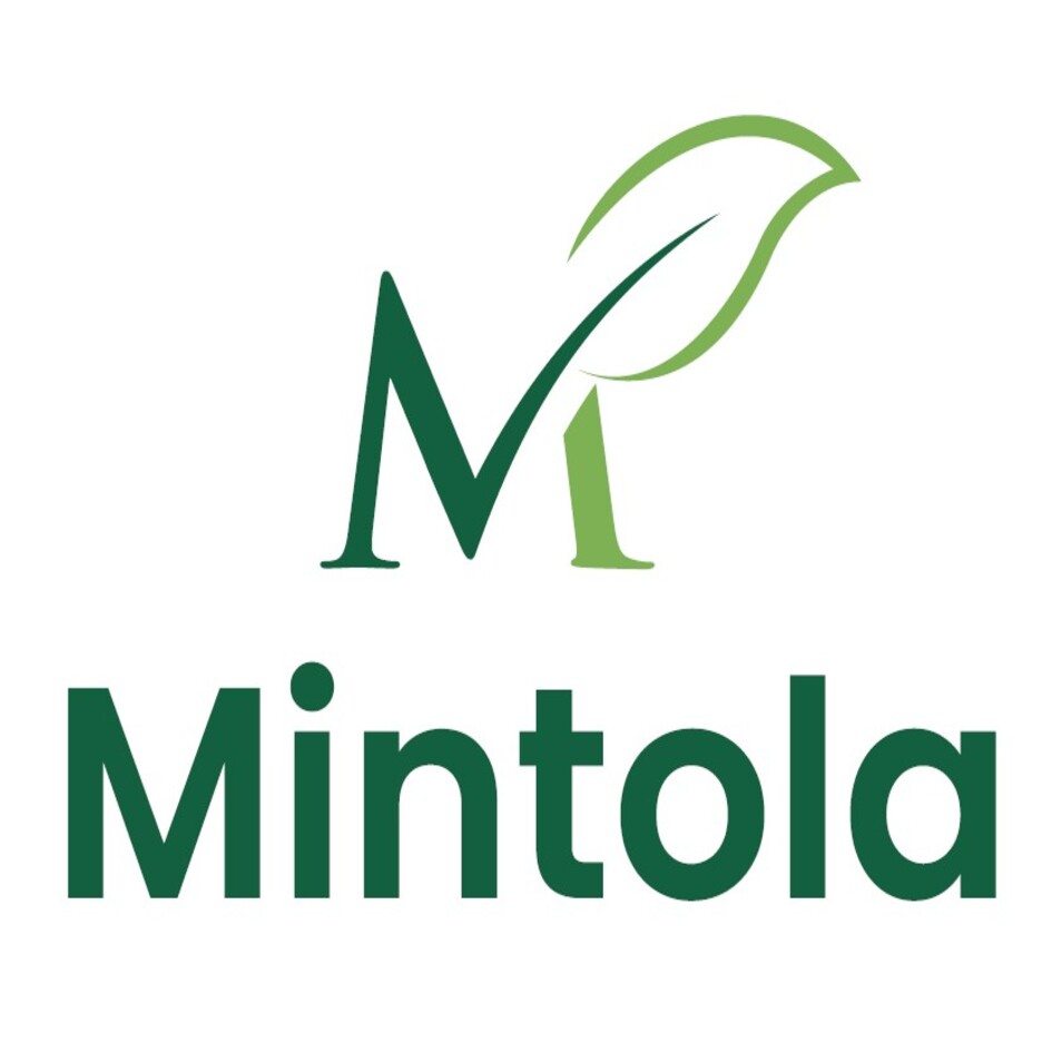 Mintola Store Logo