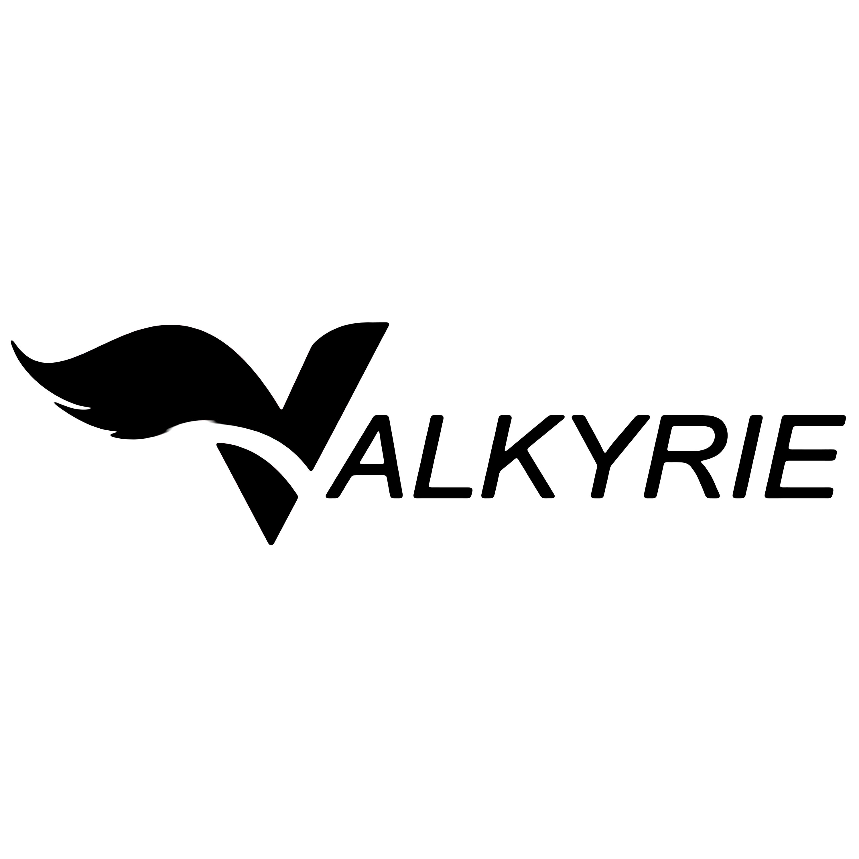 Valkyrie Logo